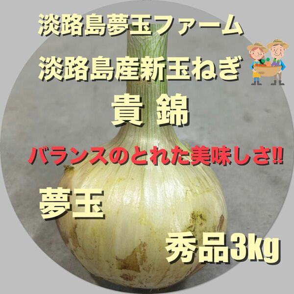 淡路島産新玉ねぎ 茎付き 3kg 貴錦 極早生 高糖度 減農薬 南あわじ産 夢玉 淡路島夢玉ファーム