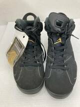 S153[08]S40(靴) 中古 NIKE/ナイキ AIEJORDAN6 RETRO ブラック/メタリックゴールド 28㎝ UK9 CT4954-007 3/28出品_画像1