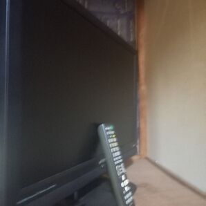 超お買い得美品 モニタテレビ使用ok牧場 いらっしゃい~ LW-2208DJ バイデザイン 最高じゃ 頼むよ 美品 早い者勝ちだよ