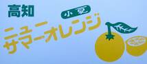 １円～【高知県産】訳あり　ハウス小夏　Mサイズ　家庭用　約５㎏　_画像4