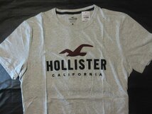 本物正規◆ホリスター◆Tシャツ アップリケ1266-099■Ｍ■グレー■新品/綿100％ HOLLISTER_画像1