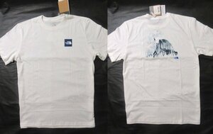 本物正規◆ノースフェイス◆Tシャツ AMERICANA ベアー■L■白■新品■アメリカ限定■N41 THE NORTH FACE 半袖