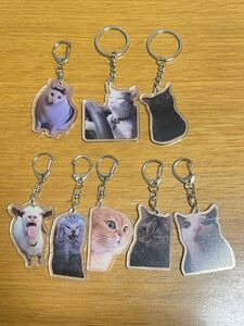 猫ミーム バナナ猫 ハッピー猫 アクリルキーホルダー キーホルダー 8点セット