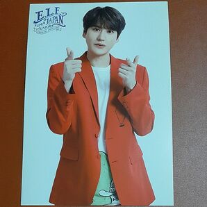 【非売品】SS8 会場特典 キュヒョン ポストカード