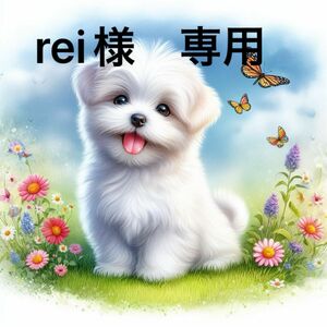 rei様 専用