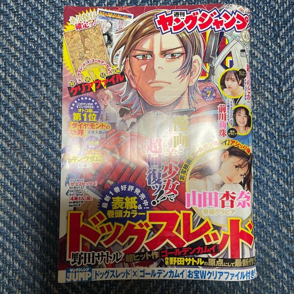 週ヤングジャンプ 2024年2月1日号 №7 ドッグスレッド×ゴールデンカムイお宝Wクリアファイル 山田杏奈 鎮目のどか 前川莉珠 送料無料