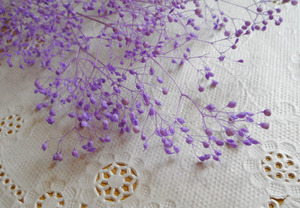 * soft Minica smi. Angel purple preserved 3D herbarium wax sachet corsage little amount 4*