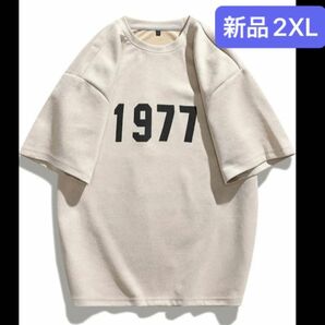 新品レディース 半袖Tシャツ　トレーナー　スウェット　アプリコット　2XL 3L ゆったり　大きいサイズ　オーバーサイズ　韓国風　