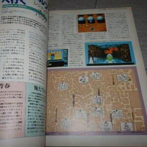 「月刊ポプコム POPCOM」 1994年2月号 小学館：刊 PC-8801 PC-9801 アマランス3 ダンジョンマスター2 ルナティックドーン G131/84の画像5