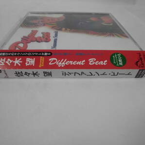 CD◆佐々木望 Diffrent Beat ディファレント・ビート 全10曲◆試聴確認済 cd-455 ゆうメール可の画像3