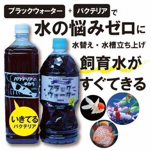 【送料無料】ブラックウオーター+バクテリアセット販売 エビ.金魚.熱帯魚の水槽立ち上げなどに