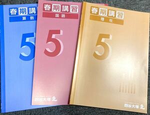 四谷大塚 小5春期講習教材 4科目セット【未使用】【美品】