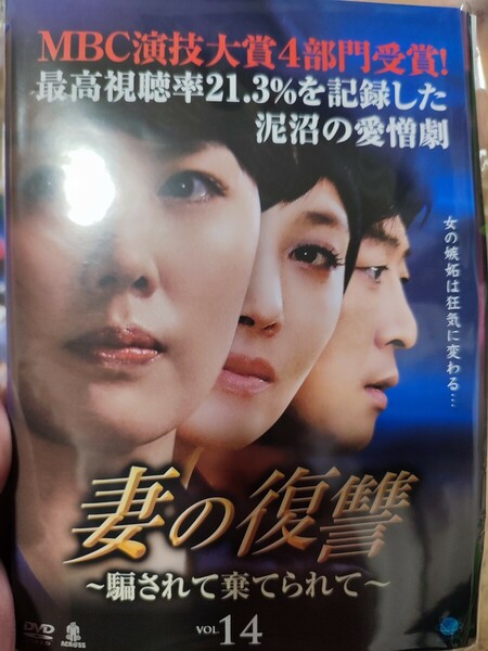 妻の復讐　全42巻セット【DVD】レンタルアップ　韓-3