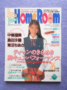 [51] DokiDoki Home Room ドキドキホームルーム 1995年 ビデオボーイ12月号増刊 英知出版 A4変形判(270×210mm)