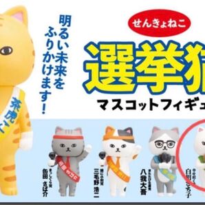 選挙猫 幸せ招く党 白招さち子