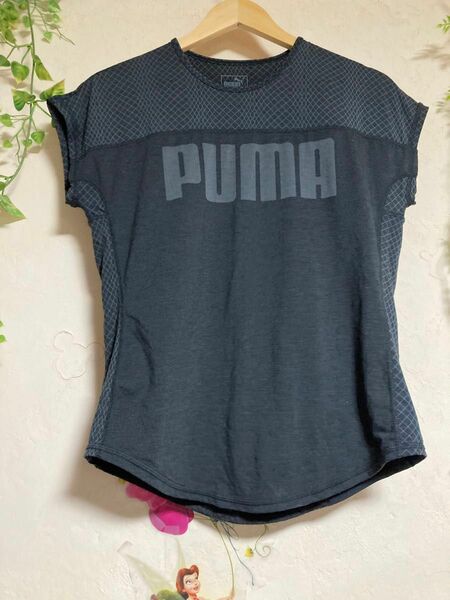 PUMA フィットネス　Tシャツ 黒　M