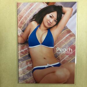 二宮歩美 2005 さくら堂 トレカ アイドル グラビア カード 水着 ビキニ 06 タレント トレーディングカード