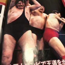 週刊プロレスアルバムシリーズ付録アンドレザジャイアント新日本プロレス 全日本WWEアントニオ猪木キラーカン_画像6