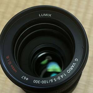 【良品】 LUMIX G VARIO 100-300mm F4.0-5.6 の画像1