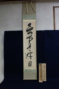 ★032986 掛け軸 掛軸 一行書 書 大徳寺 如意庵 立花大亀 共箱 ★