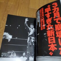 日本プロレス事件史Vol.12 団体の誕生、消滅、再生/早すぎた新日本「東京プロレス」/SWS企業プロレスの理想と現実/国際プロレス/豊登_画像5