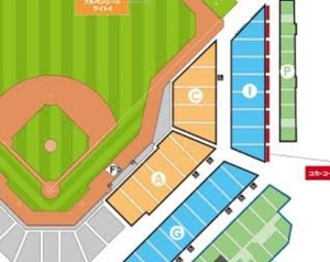 2024/3/13(水) 北海道日本ハムファイターズVS広島東洋カープ 2枚組　エスコンフィールド 1塁側　FIELD LEVEL 　SEC.119 ペア