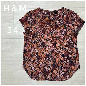 【極美品】H&M フレンチスリーブ ボタニカル柄 34 Sサイズ カットソー ブラウス 半袖カットソー シャツ 花柄 半袖