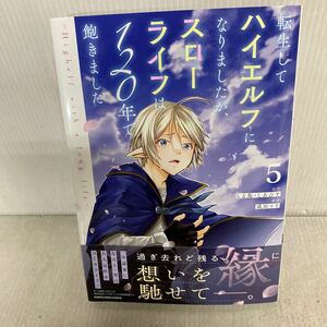 転生してハイエルフになりましたが、スローライフは１２０年で飽きました　