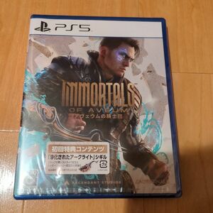 PS5 アヴェウムの騎士団