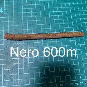 Nero 600m 穂木　いちじく穂木 イチジク穂木 