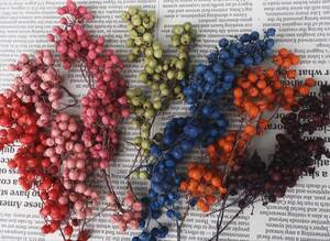 me.. ателье Hokkaido сухой цветок Blizzard перец Berry 7 -цветный набор * гербарий материалы для цветочной композиции lease консервированный аранжировка цветов 