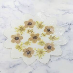 * pressed flower Coaster * white *