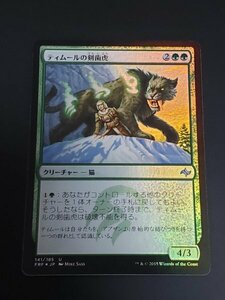 送料94円『ティムールの剣歯虎』 FOIL　日 MTG