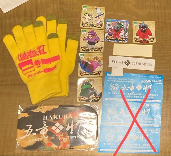 白馬五竜　HAKUBA47 五竜とおみ　半額券　非売品