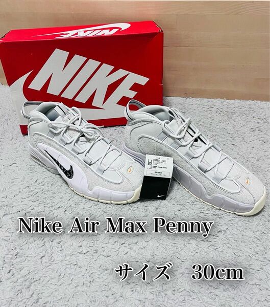 【未使用品☆鑑定済み】Nike Air Max Penny サイズ　30cm オフトーン色