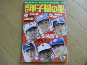 輝け甲子園の星 第63回全国高校野球選手権 報徳学園優勝　/1981年