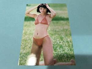 石田ゆり子 L判写真 1円スタート 高画質 水着 下着 イベント⑦