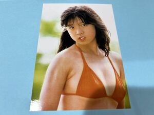 中森明菜 L判写真 1円スタート 高画質 水着 下着 イベント14