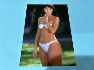 石田ゆり子 L判写真 1円スタート 高画質 水着 下着 イベント⑧