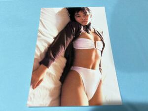 石田ゆり子 L判写真 1円スタート 高画質 水着 下着 イベント18