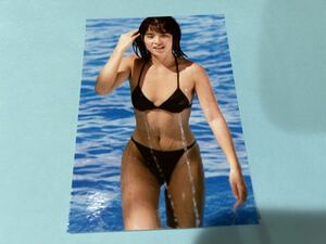 石田ゆり子 L判写真 1円スタート 高画質 水着 下着 イベント20