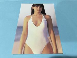 石田ゆり子 L判写真 1円スタート 高画質 水着 下着 イベント22