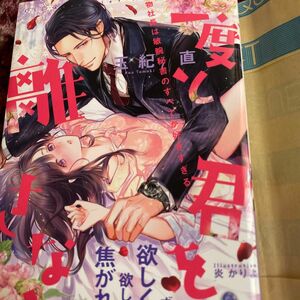 二度と君を離さない　堅物社長は敏腕秘書のすべてが好きすぎる （オパール文庫） 玉紀直／著