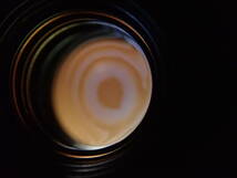 Canon キヤノン TS-E 24mm 1:3.5　L ウルトラワイド チルトシフトレンズ_画像5