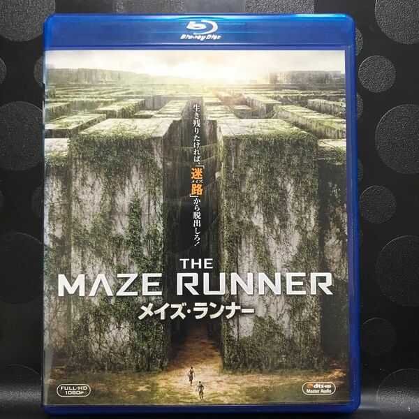 メイズ・ランナー　Blu-ray外国映画
