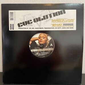 EVE ALBUM 　HIPHOP Record レコード　ヒップホップ　バイナル