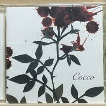 【中古】セル版 CD ◆ COCCO《 サングローズ 》◆ 4th アルバム《 2001/04/18 》こっこ_画像1