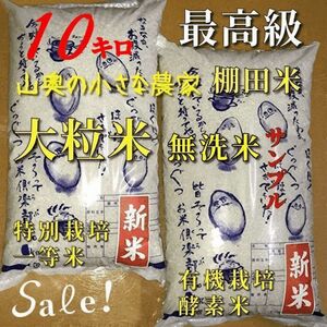 棚田米　ハイブリッド　大粒米　酵素米　玄米１０Kg「無洗米に精米」新米　コシヒカリ　つや姫　ミルキークィーン　ミルキークイーン