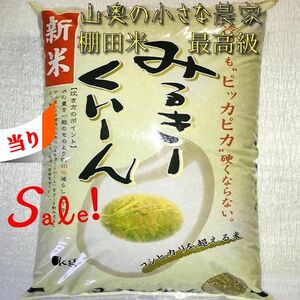 【超希少】ミルキークイーン　酵素米　玄米 ５ｋｇ「無洗米に精米」棚田米　新米　米　無洗米　コシヒカリ　つや姫　ミルキークィーン