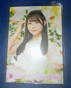AKB48 カラコンウインク 柏木由紀卒業コンサートcd購入特典生写真 太田有紀